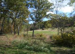 Bear Valley, Hermann, MO, Field View