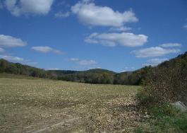 Bear Valley, Hermann, MO, Field View
