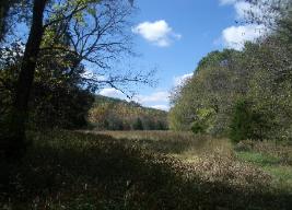 Bear Valley, Hermann, MO, Field View
